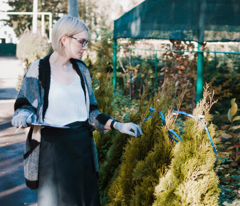 Local Tree Care Specialists Serving Granite Bay with Precision