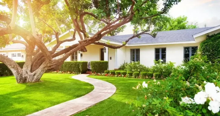 Residential and Commercial Tree Trimming in Granite Bay